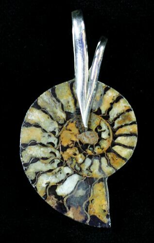Moroccan Ammonite Fossil Pendant - Sterling Silver #21016